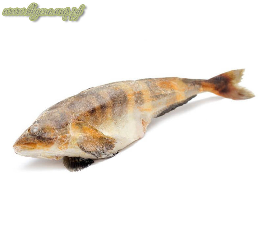 Терпуг: подробная информация о БЖУ рыбы на сайте Вкусномир.рф